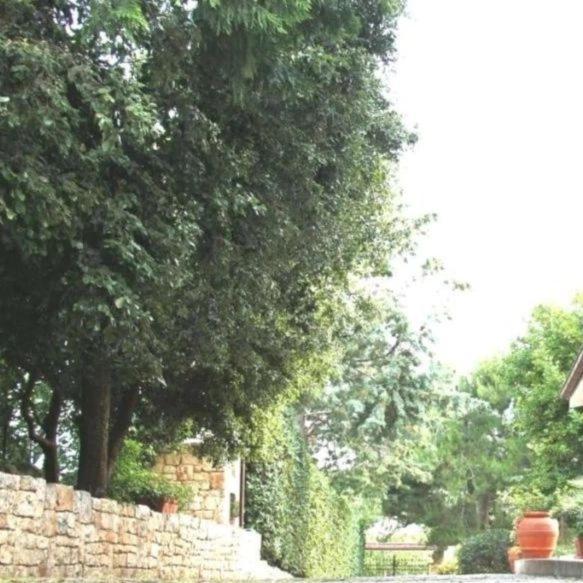 Casa Marisa Villa Vacanza Кастеллана-Гротте Экстерьер фото