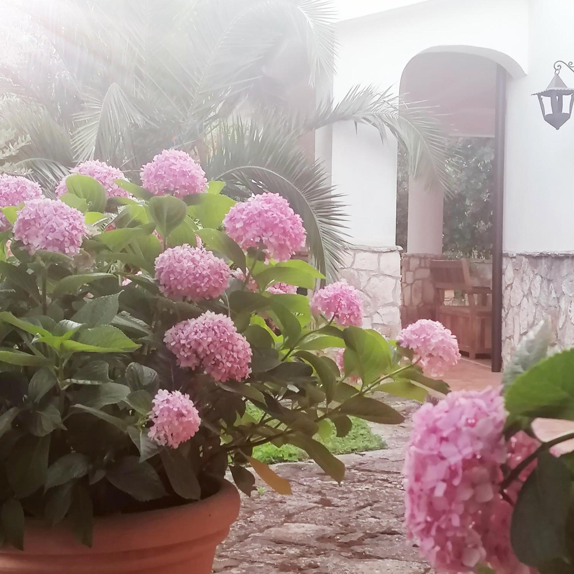 Casa Marisa Villa Vacanza Кастеллана-Гротте Экстерьер фото