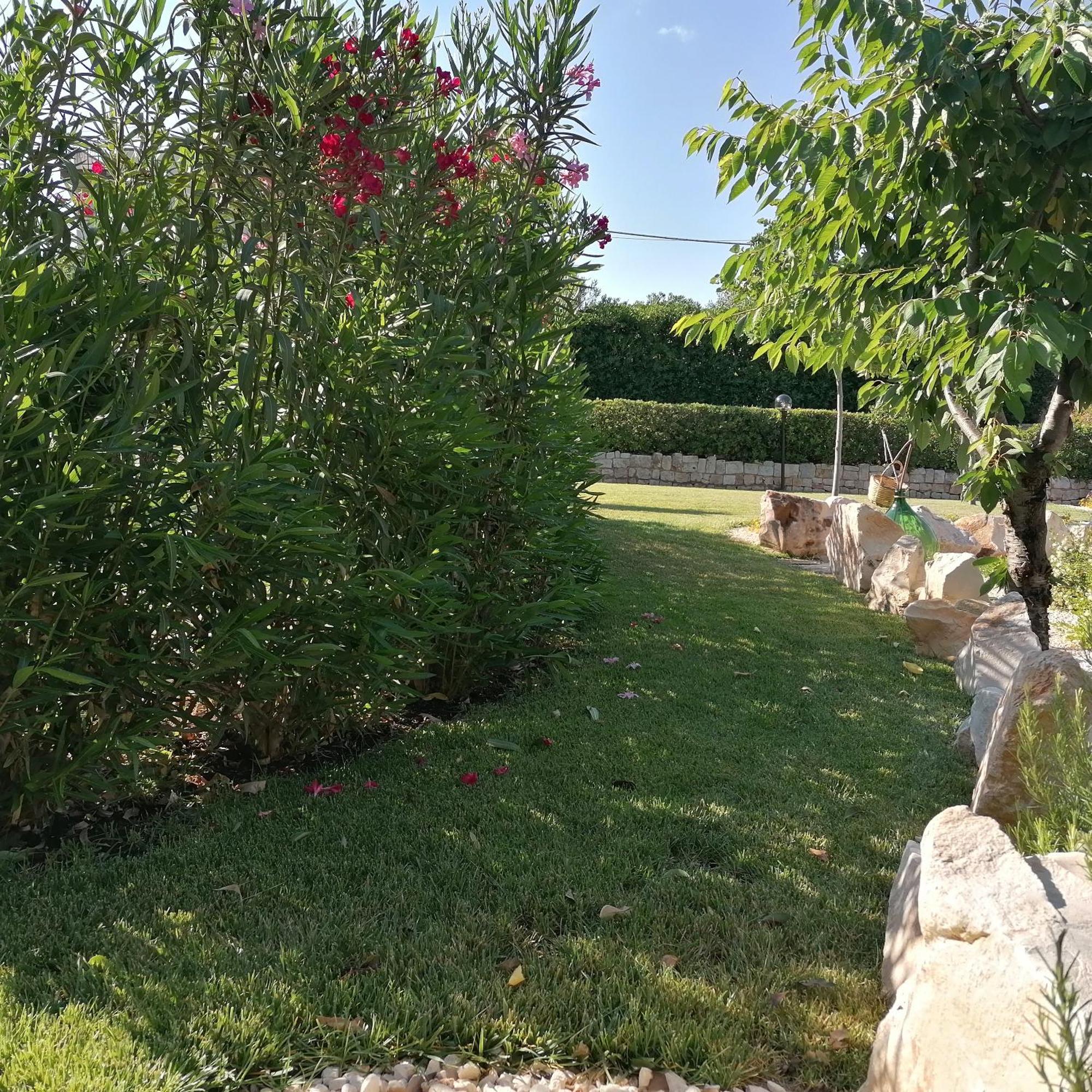 Casa Marisa Villa Vacanza Кастеллана-Гротте Экстерьер фото